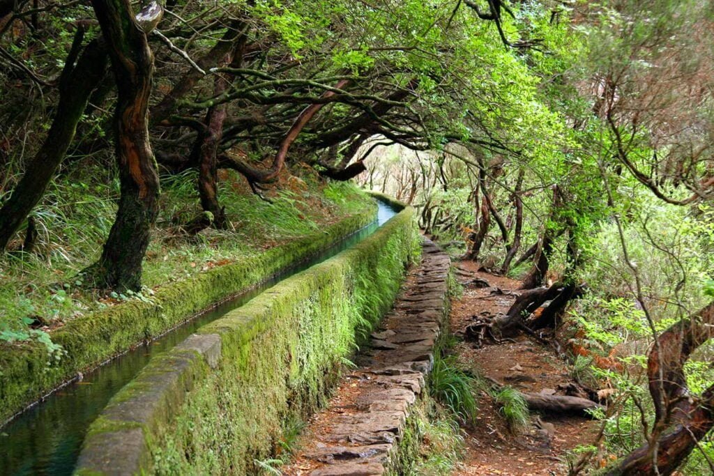 Levadas and Walks – Madeira Selection