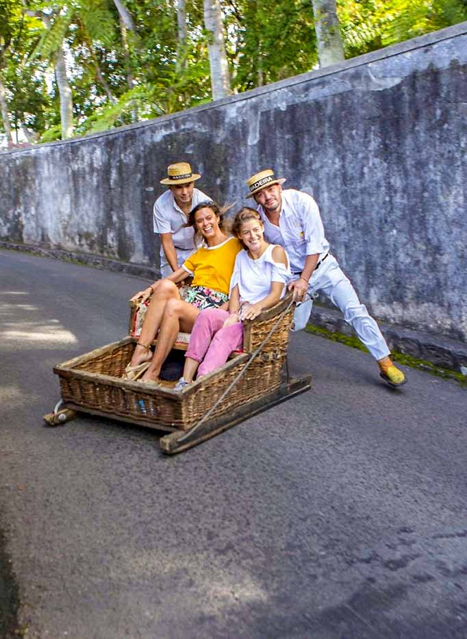 Toboggan Madeira Island tour activity