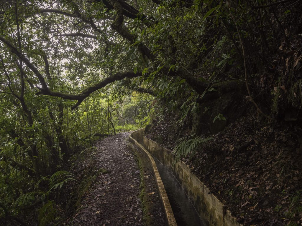 PR10 Levada do Furado