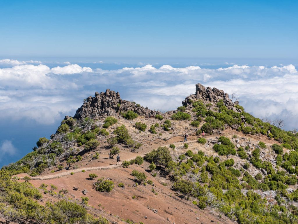 Madeira PR1 Levada Walk
