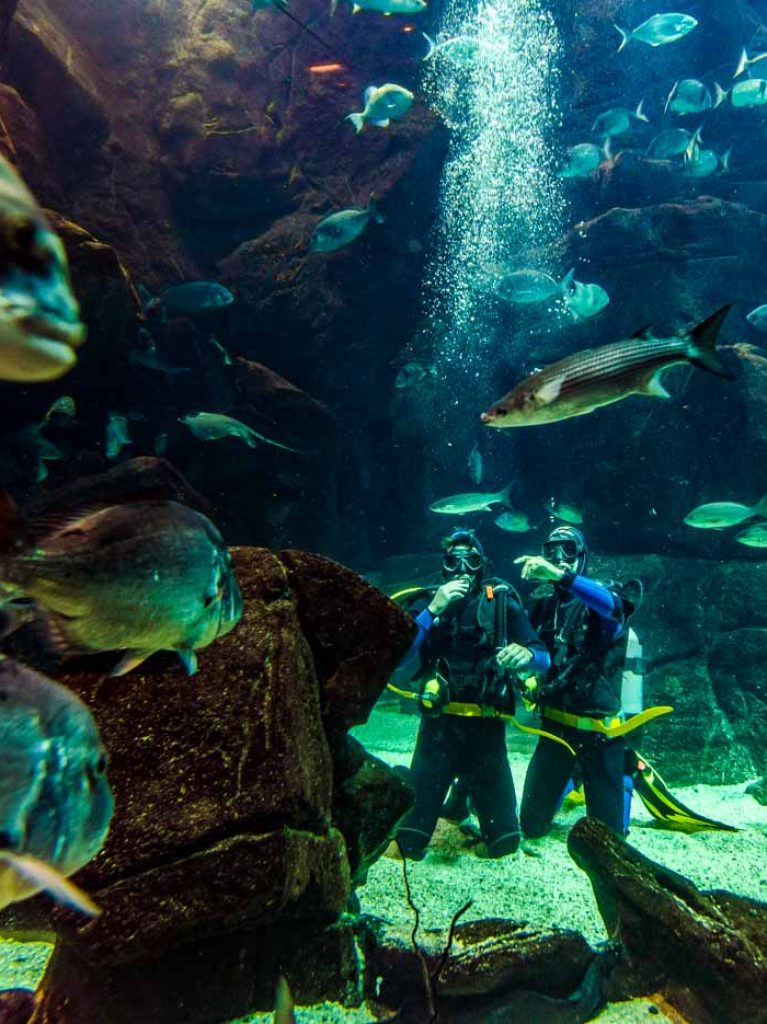hotel-aqua-natura-facilities-activities-15 Aqua natura diving activities
