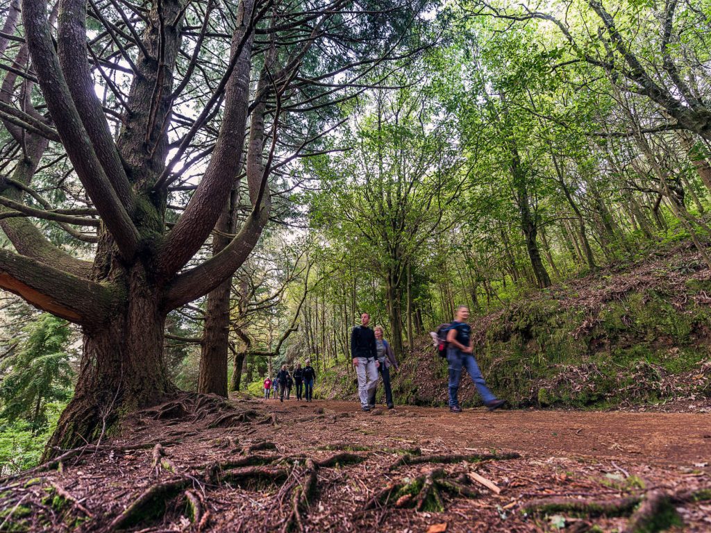 PR9 Levada Caldeirão Verde
