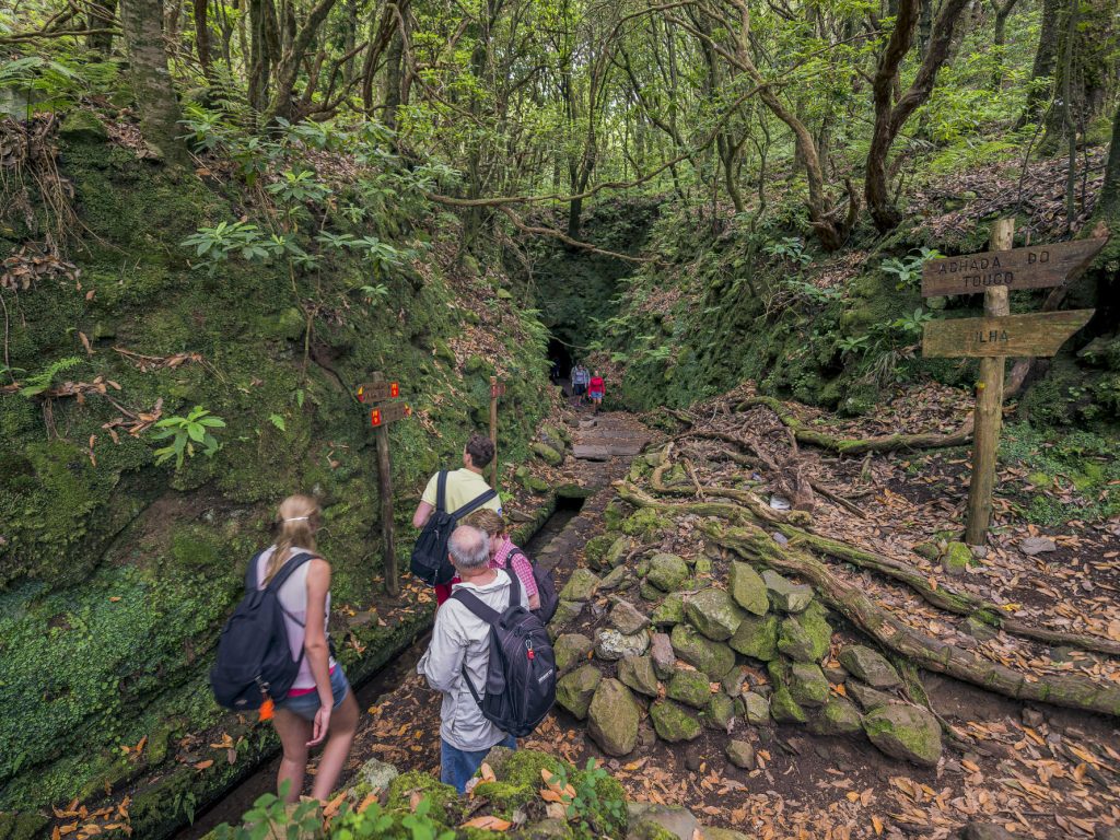 PR9 Levada Caldeirão Verde